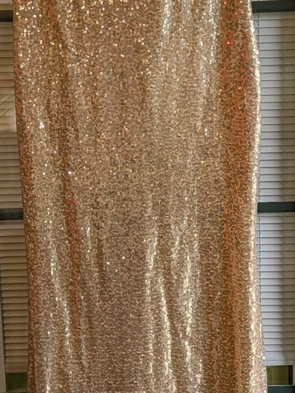 Ruivigo Sequin Maxi Dress in Gold Size Small Like New